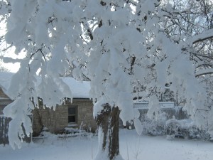 I can't forget it's January!