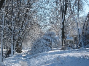 A very snowy day, December, 2012.