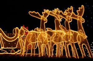 At least they're LED.