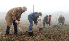 Last Year's Booker Judges Charmingly Plant Trees.