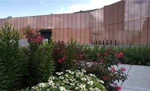 The downtown library.