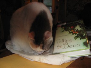 She might read this, but she's more interested in the book bag.
