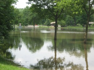 Another park picture.