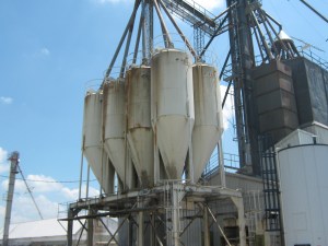 We decided this was the town.