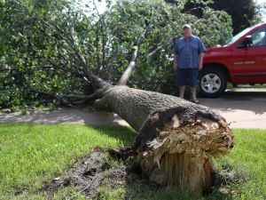 A tree down a few blocks away.