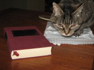 Tigger, preparing to read Dostovesky.  