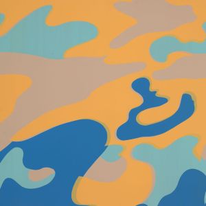 Andy Warhol's "Camouflage"