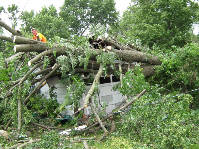 Our garage hit by a tree.