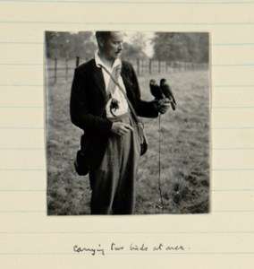 T. S. White: I'm not sure what the birds are.