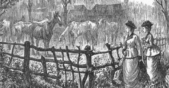 Grialy illustration of Farnfield.  