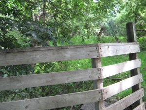 The green's a little blowsy now.  