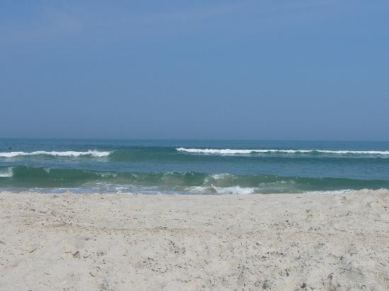 The beach at Assateague, Virginia.