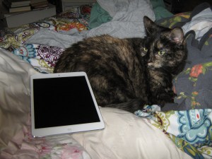 Cat with IPad!