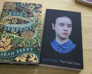 new-books-essex-serpent-and-sarah-moss