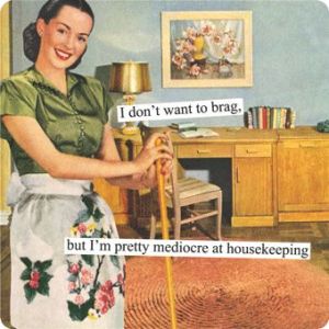 anne-taintor-mediocre-housewife-96c747f821c900499927d681b20890f5