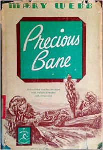 mary-webb-precious-bane-60de0240bc0947471016e4a87852a4ae