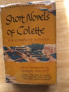 short-novels-of-colette-good-picture